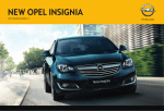 Vauxhall Insignia 2014 R300 Color Specifications