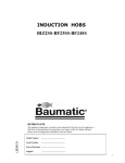 Baumatic BF23SS Technical data