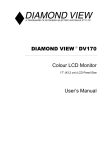 Diamond View DV170 User`s manual
