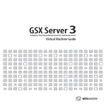 VMware GSX Server 3 Administration Specifications