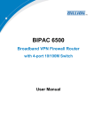 Billion BIPAC 6500W User manual