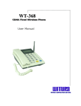 Witura WT-368 User manual