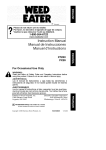 Weed Eater 530163906 Instruction manual