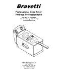 Professional Deep Fryer Friteuse Professionnelle