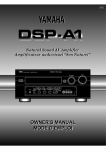 Yamaha DSP-1 Owner`s manual