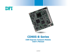 DFI CD905-B Series User`s manual