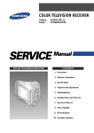 Samsung CS21S8 Specifications