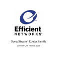 Efficient Networks  Router family Command line interface Specifications