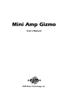 RJM Mini Amp Gizmo User`s manual