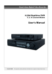 Ultra Disk DVR 7 User`s manual