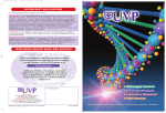 UVP DigiDoc-It Specifications