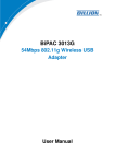 Billion BIPAC 3013G User manual
