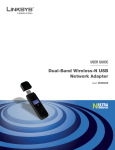 Cisco WUSB600N User guide