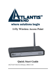 I-Fly Wireless Access Point Quick Start Guide