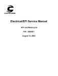 Black Widow Security BW 2800 Service manual