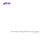 Avid Technology M-Audio Fast Track User guide
