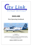 Pilot Operating Handbook