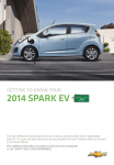 2014 SPARK EV