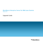 Blackberry PROFESSIONAL SOFTWARE FOR IBM LOTUS DOMINO - - MIGRATION GUIDE Installation guide