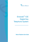ElectSys Emerald ICE User guide