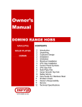 Defy DOMINO 2 Owner`s manual