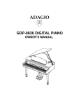 Adagio GDP-8820 Owner`s manual