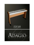 Adagio PDP100 Specifications