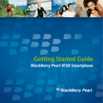 Blackberry PEARL 8130 - TIPS User guide