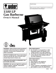 Weber 1100 NG Owner`s manual