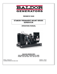 Baldor STANDBY PERMANENT MOUNT SERIES Owner`s manual