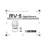 Boss Boss  RV-5 Owner`s manual