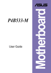 Asus P4B533-V User guide
