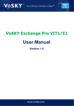 VoSKY Exchange Pro E1 User manual