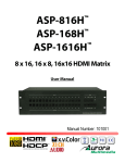 Aurora Multimedia ASP-1616H User manual