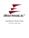 Efficient Networks  Router family Command line interface User guide