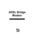 Zoom 0335-A 27337 User`s guide