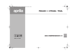 APRILIA PEGASO 650 IE STRADA - 2005 Technical information