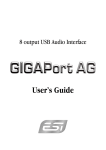 ESI GIGAPort AG User`s guide