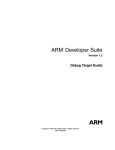 ARM VERSION 1.2 Datasheet