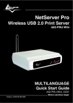 NetServer Pro