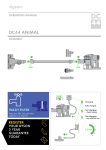 DC44 ANIMAL