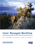 Color Management Workbook - Epson America, Inc.