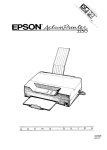 Epson ActionPrinter 3250 User`s guide