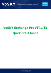 VoSKY Exchange Pro E1 User manual