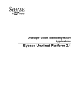 Developer Guide: BlackBerry Native Applications