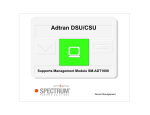 ADTRAN TSU 120 Specifications