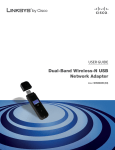 Cisco WUSB600N User guide