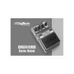 DigiVerb Manual