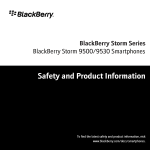 Blackberry STORM 9500 - STORM 9530 SMARTPHONE Specifications