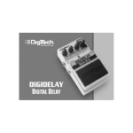 DigiDelay Manual